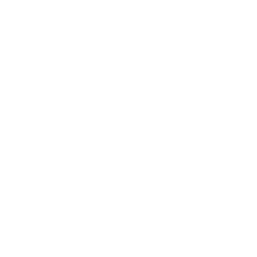 Integrity TrueMark Group Inc